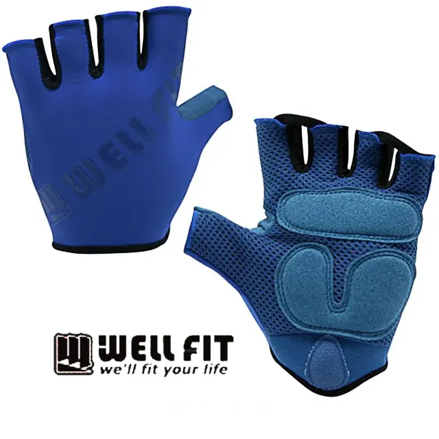 welly 威利  藍寶堅尼 小牛 LP610 非 法拉利 歷史價格詳細信息