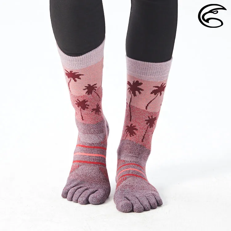 ADISI 快乾中筒五趾襪 AS21073 / 桃 歷史價格詳細信息