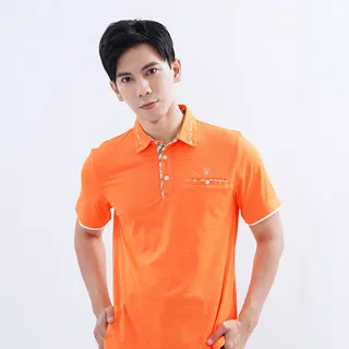 遊遍天下 男款抗UV吸濕排汗機能格紋POLO衫GS1017暗紫 歷史價格詳細信息