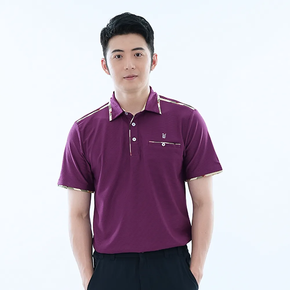 遊遍天下 男款抗UV吸濕排汗機能格紋POLO衫GS1017暗紫 歷史價格詳細信息