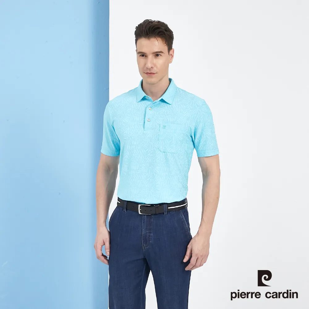 【pierre cardin 皮爾卡登】 男裝吸濕排汗定位橫條短袖polo衫-深藍色 (5217292-38) 歷史價格詳細信息