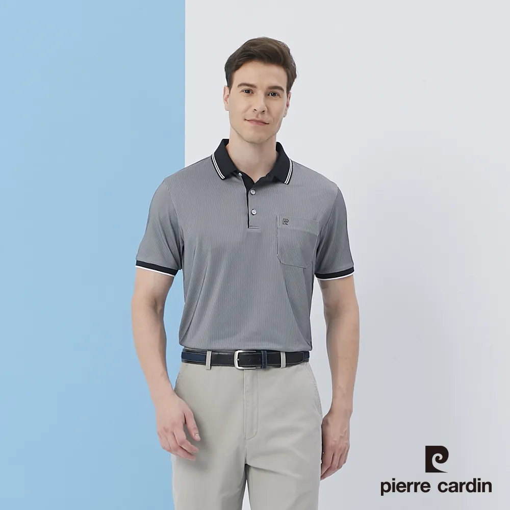 【pierre cardin 皮爾卡登】 男裝吸濕排汗定位橫條短袖polo衫-深藍色 (5217292-38) 歷史價格詳細信息