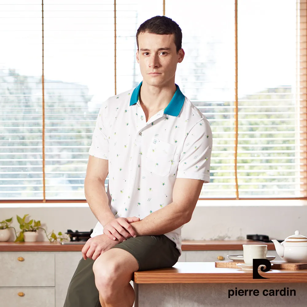 【Pierre Cardin皮爾卡登】 男款 直條三角印花短袖POLO衫-水藍色 (5237266-35) 歷史價格詳細信息