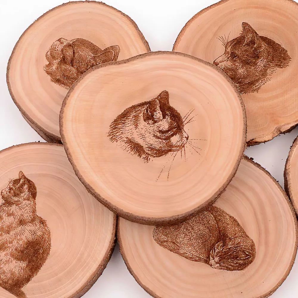 台灣肖楠神桌板，有磨過後未上透明漆香味濃厚重高64寬60長212.5厚4公分 歷史價格詳細信息