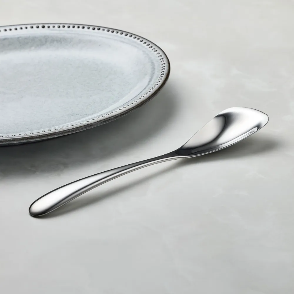 有種創意 - 日本山崎金屬 - HOME FESTA系列 - 不鏽鋼湯匙 (181 mm) 歷史價格詳細信息