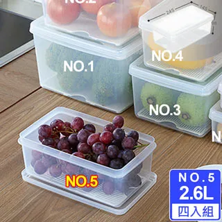 [愛收納x聯太工坊]Famous長型2號保鮮盒9L 二入組(附瀝水盤) 歷史價格詳細信息