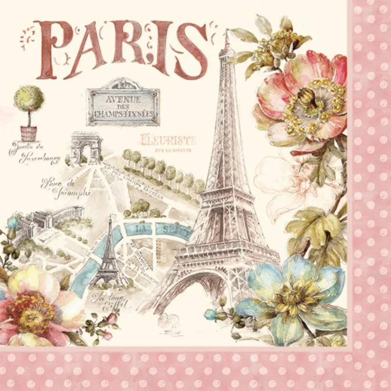 巴黎人的口袋地圖[二手書_良好]8714 TAAZE讀冊生活 歷史價格詳細信息