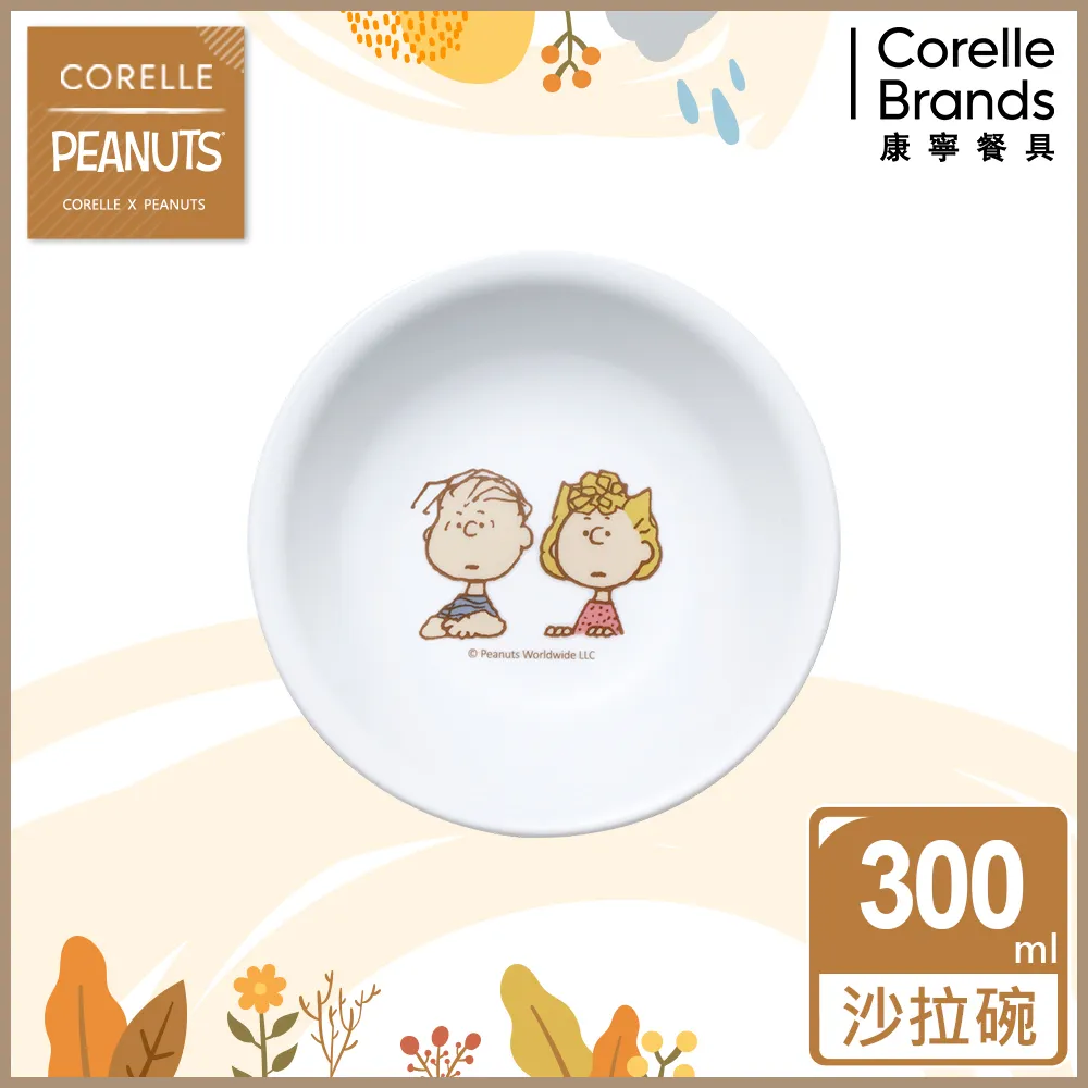 【美國康寧 CORELLE】SNOOPY  FRIENDS 6吋深盤(413) 歷史價格詳細信息