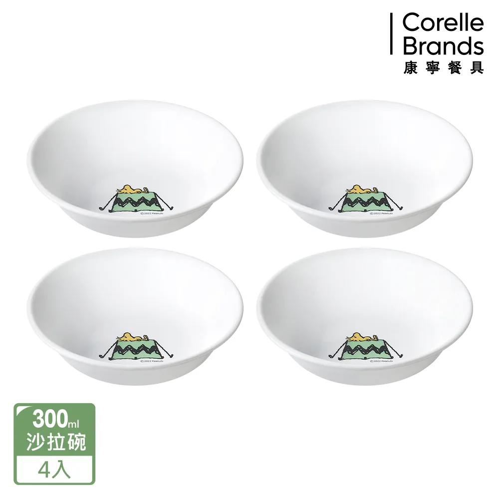 【美國康寧 CORELLE】SNOOPY 露營趣 4件式8吋餐盤組-D04 歷史價格詳細信息