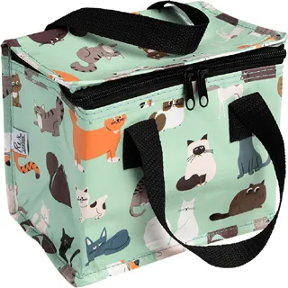 英國 Rex London 環保保溫袋/保冷袋/便當袋/野餐_世界地圖_RL24489 歷史價格詳細信息