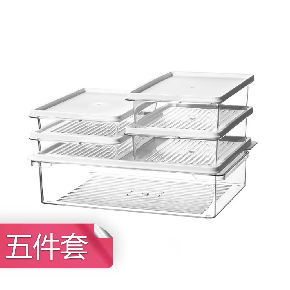 日式冰箱收納盒 透明保鮮盒 廚房儲物密封罐 食物整理收納盒│大號 歷史價格詳細信息