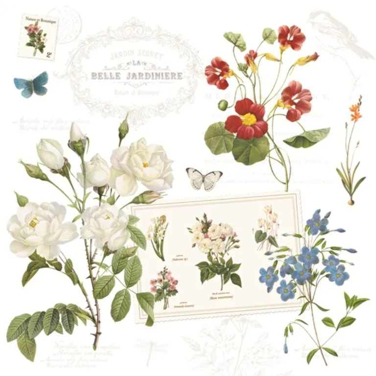 義大利原裝進口 EASY LIFE 餐巾紙- 英格蘭老式玫瑰 哪裡買蝶古巴特紙巾摺法只寸英文印刷手工藝 歷史價格詳細信息