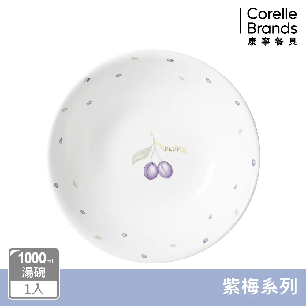 【美國康寧 CORELLE】紫梅紫梅3件式餐盤組(10吋盤X2+10微波蓋) 歷史價格詳細信息