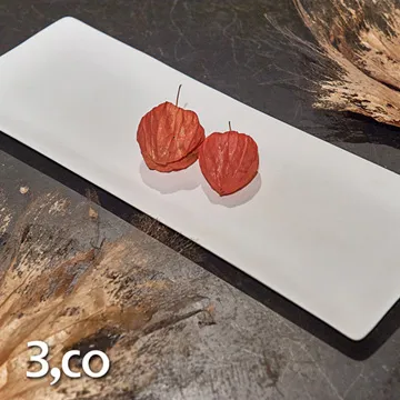 【3,co】海洋斜月壺(兩件式) 歷史價格詳細信息