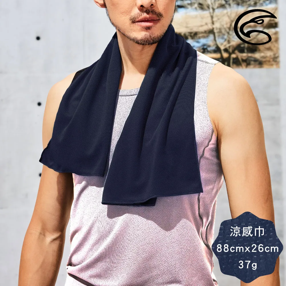 ADISI 涼感巾 AS15177 歷史價格詳細信息