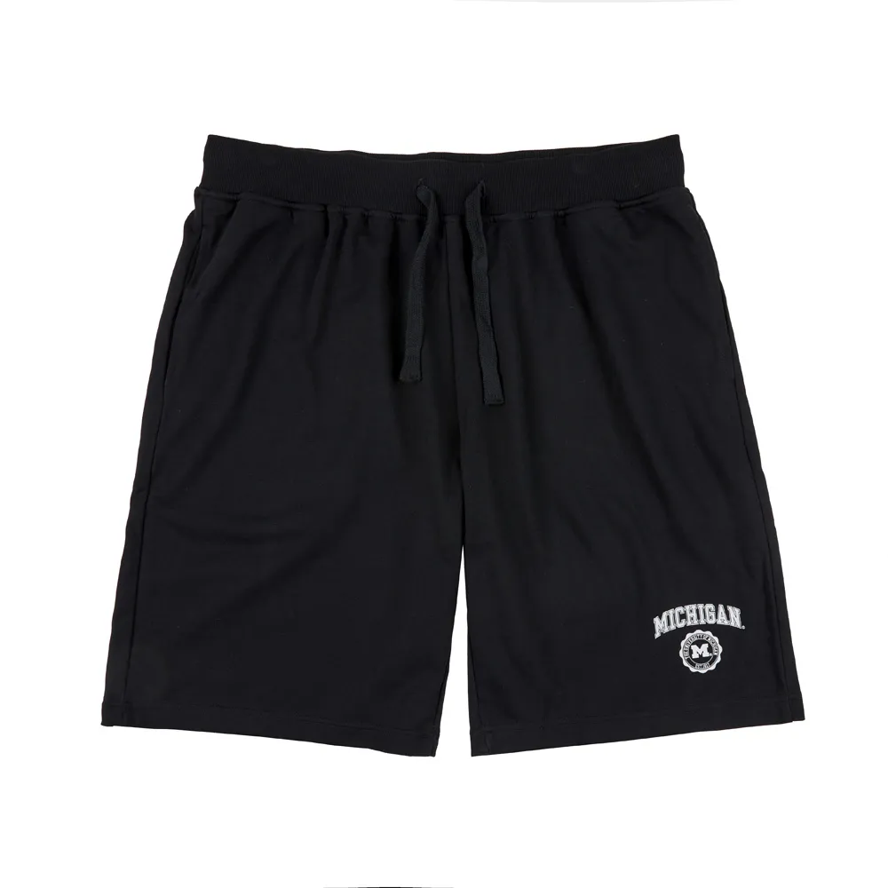NCAA 短褲 密西根 深灰 抽繩短褲 男 7221555013 歷史價格詳細信息