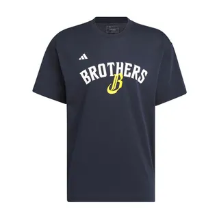 中信兄弟 絕版 隊徽球(黃）logo球 兄弟象 歷史價格詳細信息