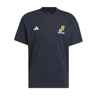 中信兄弟 絕版 隊徽球(黃）logo球 兄弟象 歷史價格詳細信息