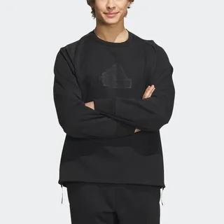 Adidas M Z.N.E FL Crew [IQ1376] 男 長袖 上衣 大學T 亞洲版 休閒 寬鬆 保暖 淺灰 歷史價格詳細信息