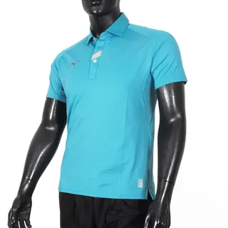 MIZUNO 男 短袖POLO衫 戶外 吸濕 排汗 32TA251309 32TA251314 歷史價格詳細信息
