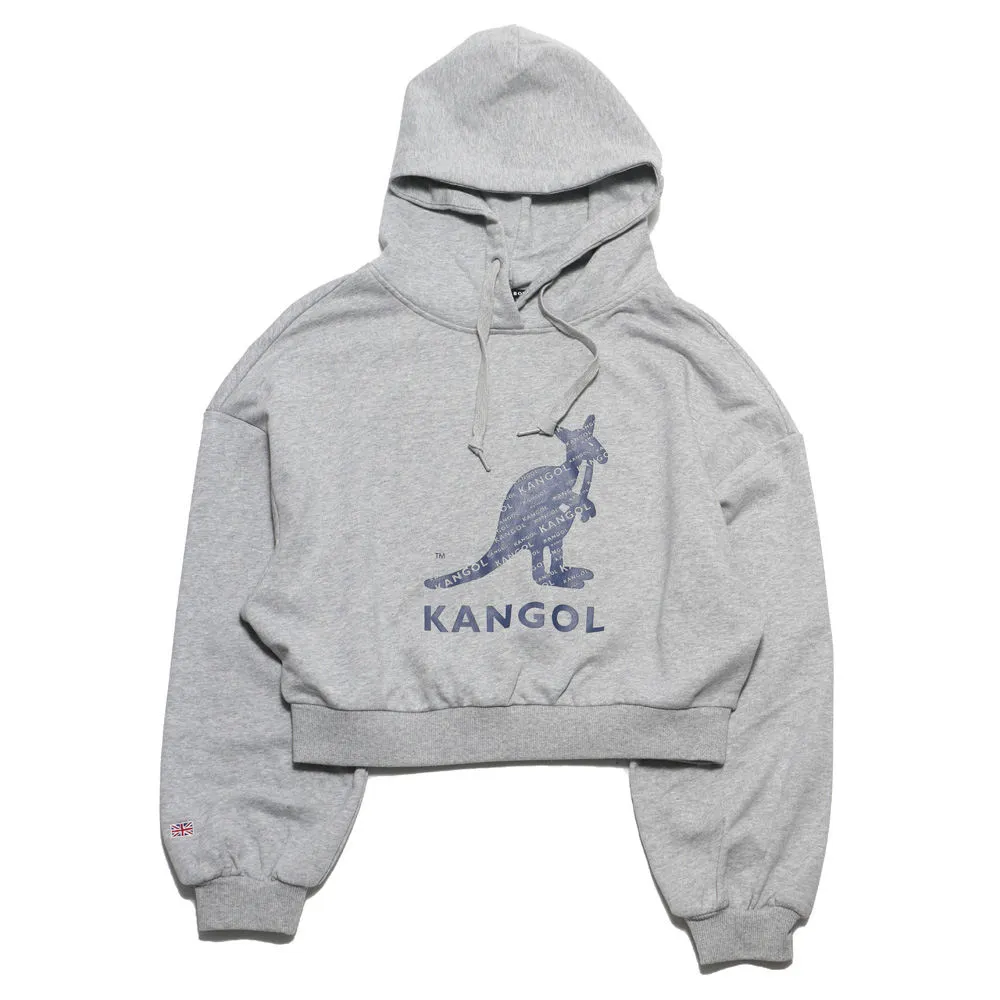 KANGOL 帽T 灰色 大LOGO 滿版 短版 長袖 休閒 女 6152105112 歷史價格詳細信息