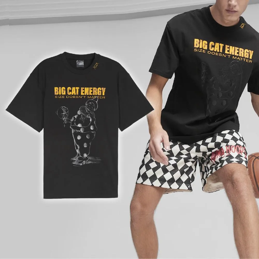 Big Cat 巨獅 9H全屏鋼化膜 for iphone15 保護貼 保護膜 歷史價格詳細信息