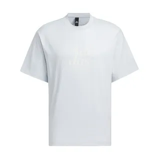 Adidas ST FL GFX Tee [IT3926] 男 短袖 上衣 T恤 運動 休閒 寬鬆 棉質 舒適 淡藍 歷史價格詳細信息