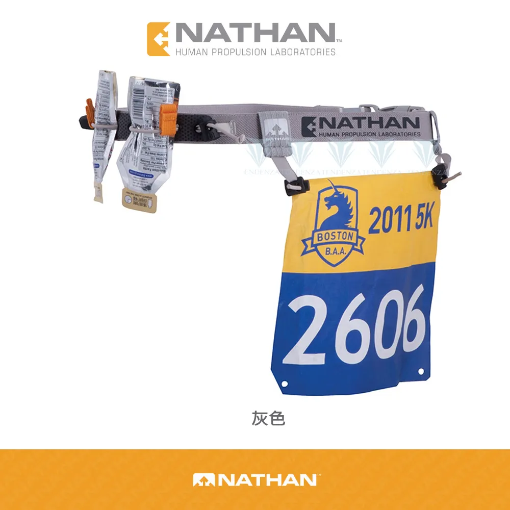Nathan 對號入座觀察遊戲 歷史價格詳細信息