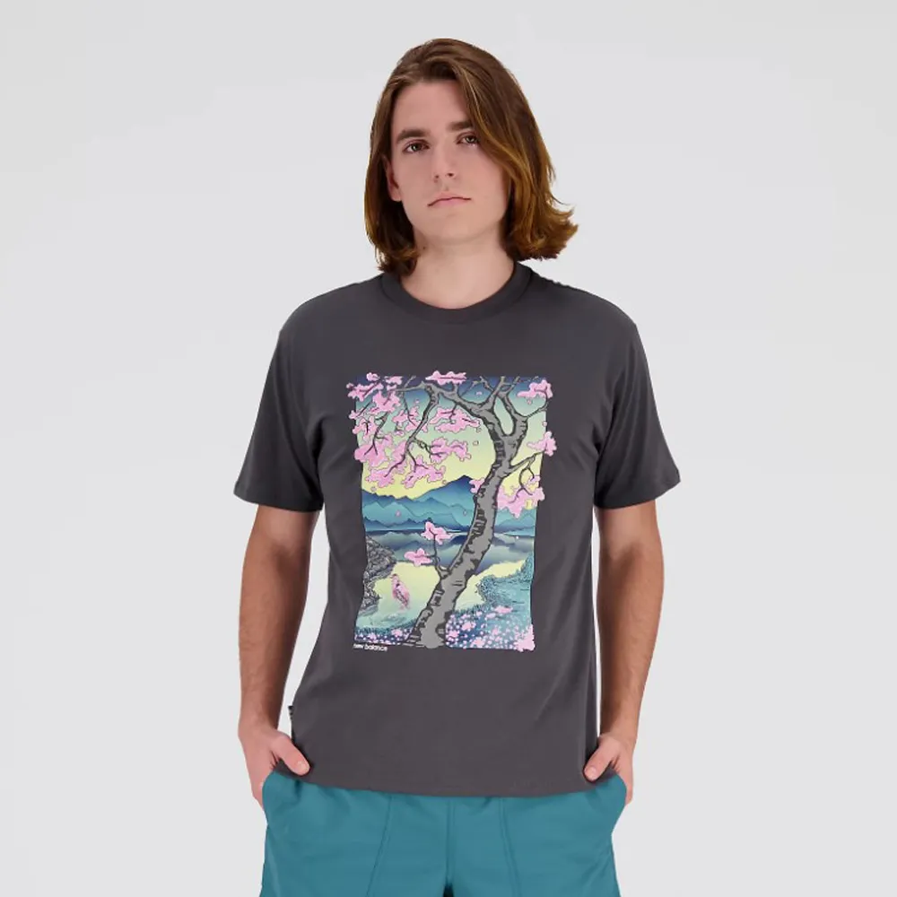NEW BALANCE 短T 深灰 櫻花插畫 短袖 上衣 男 MT31512ACK 歷史價格詳細信息
