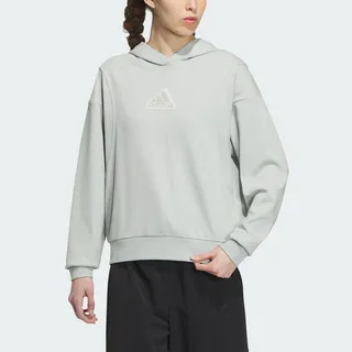 ADIDAS 女 連帽T ESS HOODIE -IC5243 歷史價格詳細信息