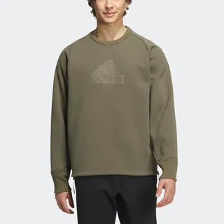 Adidas M Z.N.E FL Crew [IQ1376] 男 長袖 上衣 大學T 亞洲版 休閒 寬鬆 保暖 淺灰 歷史價格詳細信息