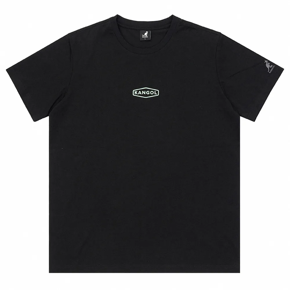 KANGOL 短袖 短T 中性 薄荷綠白 羅紋 大LOGO 棉 休閒 男女 6225100481 歷史價格詳細信息
