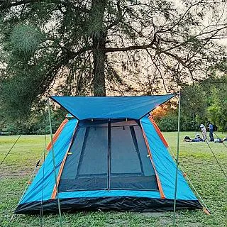 全自動雙開門連續捕鼠器 捕鼠籠 捕鼠神器 歷史價格詳細信息