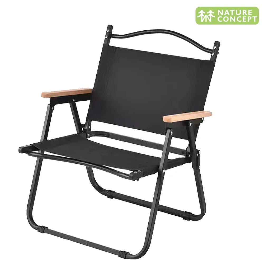 NX250 歷史價格詳細信息