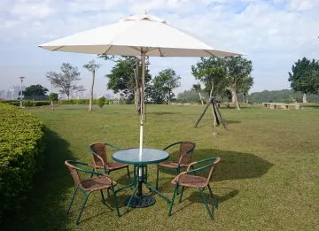 歐式風重工奢華麥穗水滴型鋯石樹葉耳環超閃樹葉耳環耳飾 歷史價格詳細信息