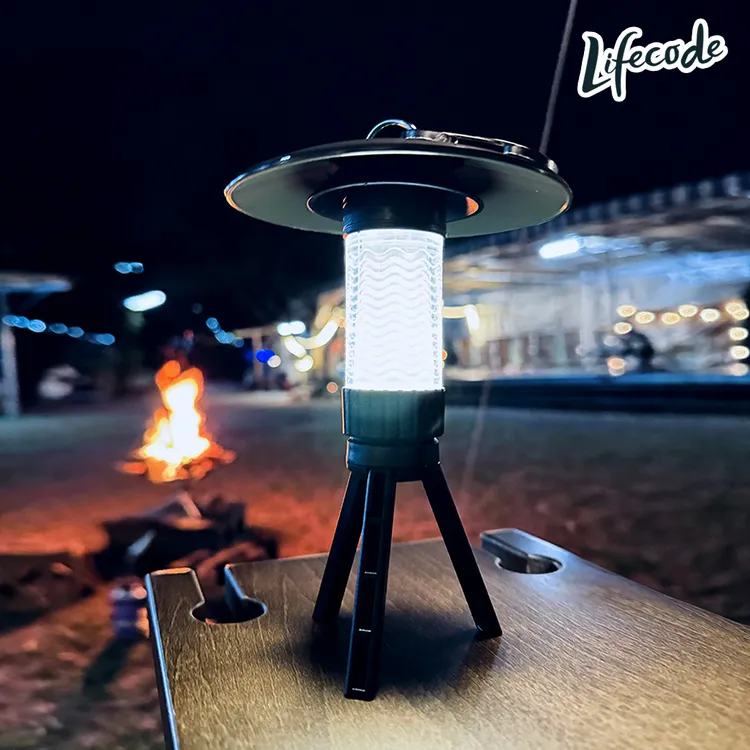 LIFECODE LED耐摔燈串-G40-USB(30米50燈+2個備用) 歷史價格詳細信息