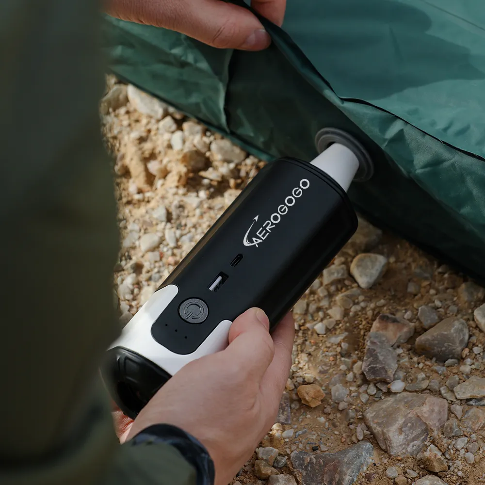 Aerogogo GIGA PUMP 4.0 三合一多功能充氣幫浦+衣物收納袋 6+4入組 歷史價格詳細信息