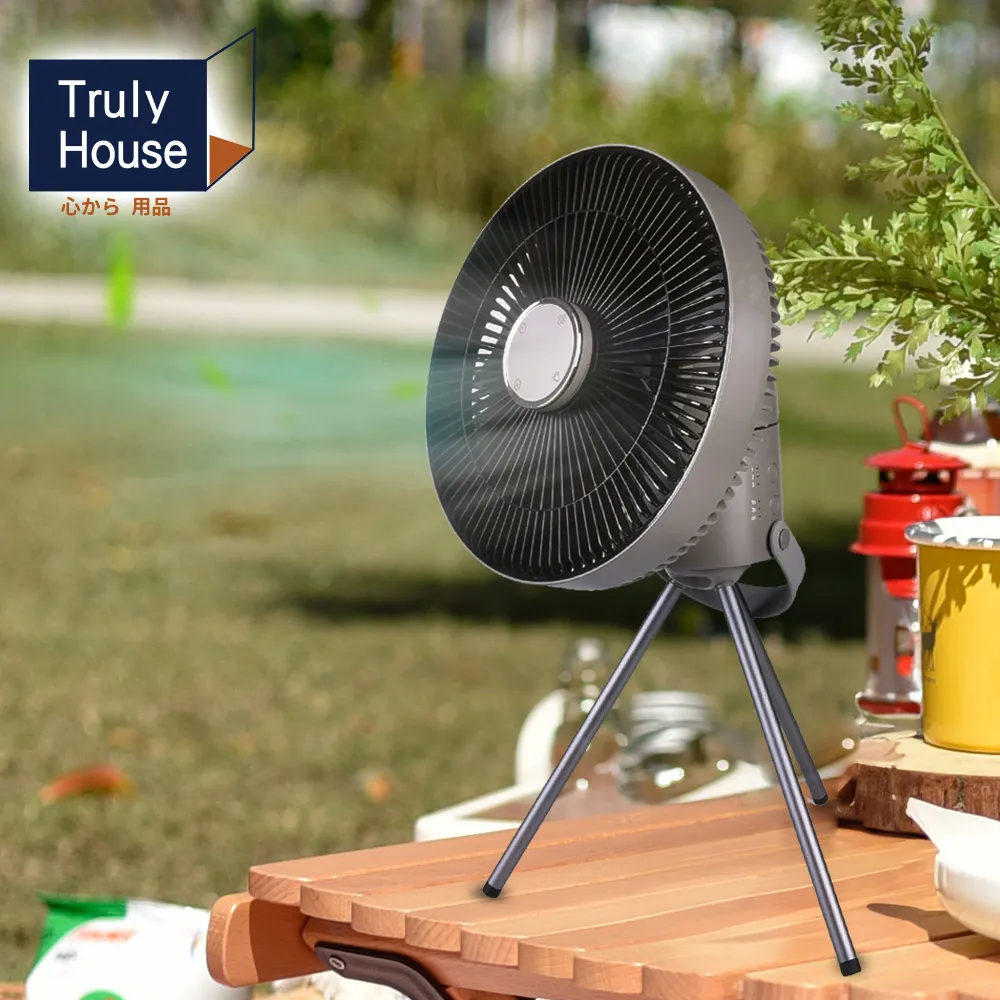 【Truly House】戶外雙面烤盤 木質握把 可拆卸/烤麵包/烤肉/野炊/中秋/烤土司/熱壓 歷史價格詳細信息