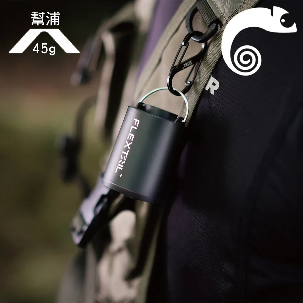 2024 FLEXTAIL Evo pump 3 充氣機 打氣機 充氣幫浦 空氣幫浦 氣動工具 歷史價格詳細信息