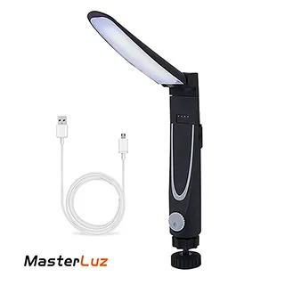 MasterLuz-全電壓 A60 4W E27 LED復古鎢絲燈泡 黃光(2入) 歷史價格詳細信息