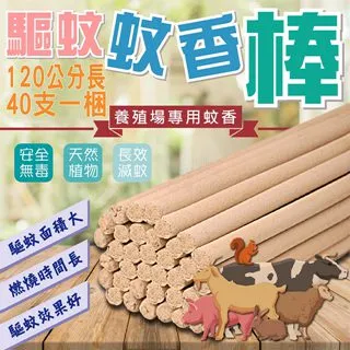 梱枝莉子 限定版插畫集 親筆簽名 キャンディどろっぷす２ 歷史價格詳細信息