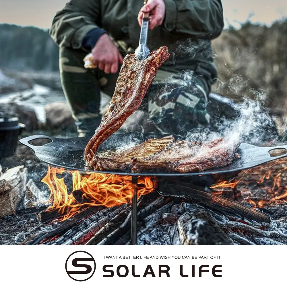 Petromax 鍛鐵煎盤/斜紋鍛鐵鍋/煎鍋 SP28 28cm 德國製 歷史價格詳細信息