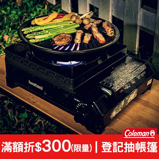 【Iwatani岩谷】日本燒肉不沾烤肉盤-33cm-大-圓型-搭贈岩谷章魚燒烤盤(CB-A-YPL+CB-A-TKP) 歷史價格詳細信息