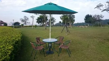 歐式風重工奢華麥穗水滴型鋯石樹葉耳環超閃樹葉耳環耳飾 歷史價格詳細信息