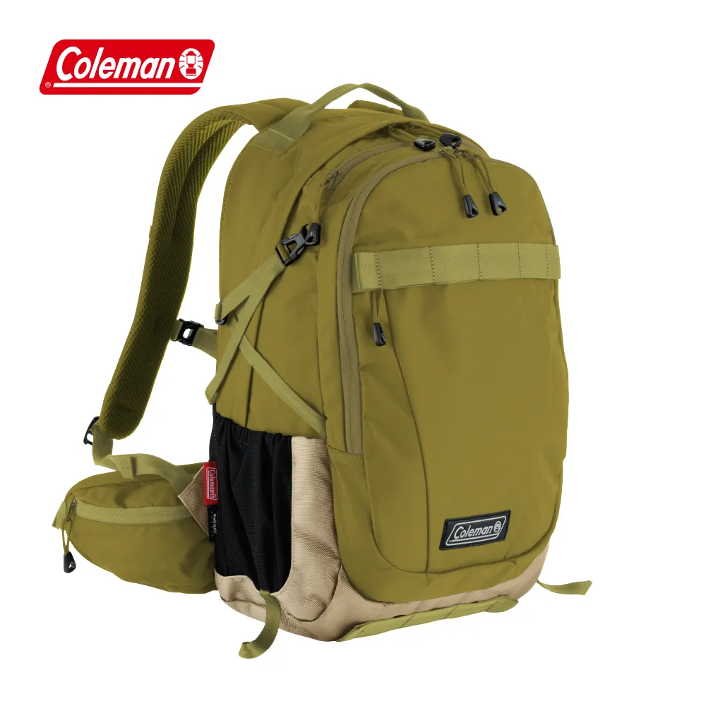 Coleman 25L綠橄欖/灰咖啡終極保冷袋/CM-37166/CM-06784.長效折疊保冷袋 保溫保冰袋 野餐露營冰袋 歷史價格詳細信息