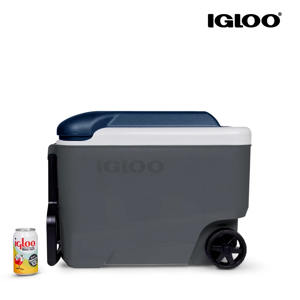 IGLOO MAXCOLD 系列五日鮮 54QT 冰桶 50543 歷史價格詳細信息