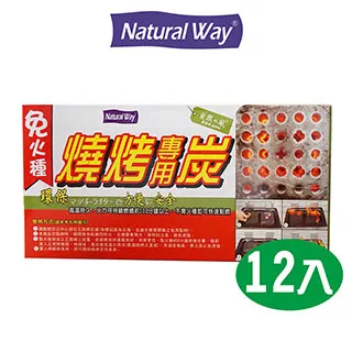 自然風烤肉刷3入 戶外 野餐 露營  現貨 蝦皮直送 歷史價格詳細信息