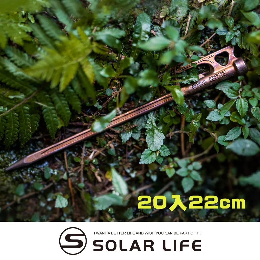 【SF】天然奇異籽500gX3包(豐富的膳食纖維) 歷史價格詳細信息