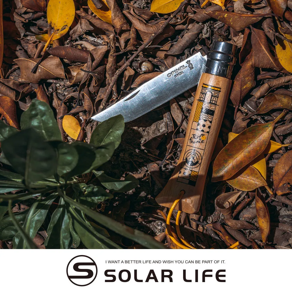 OPINEL法國 No.112 不鏽鋼餐刀/櫸木 刀類 84OPI001913 歷史價格詳細信息