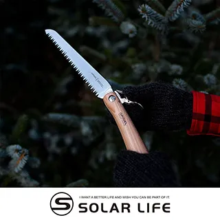 法國園藝銀章 花神銀章 原盒4521 歷史價格詳細信息